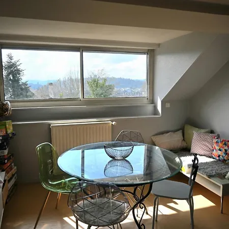 Vue Chateau - Terrasse - Proximite Centre * По